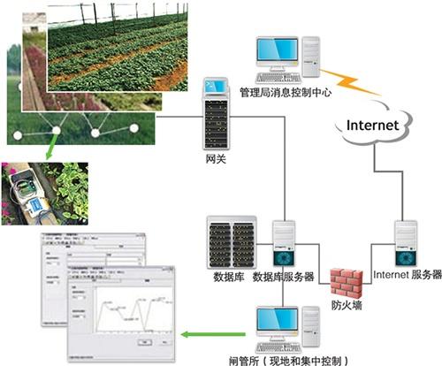 廣西智慧農業(yè)物聯(lián)網攜手毛葡萄 共鋪脫貧致富路